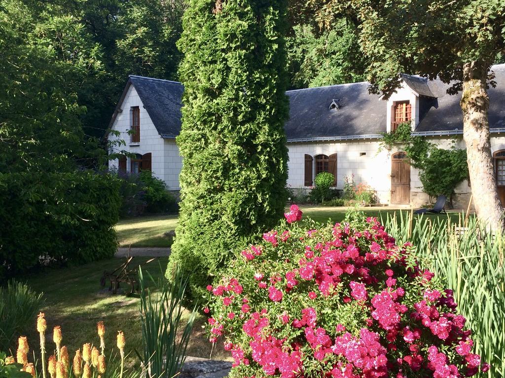 Domaine De Joreau Gennes-Val-de-Loire Exterior photo
